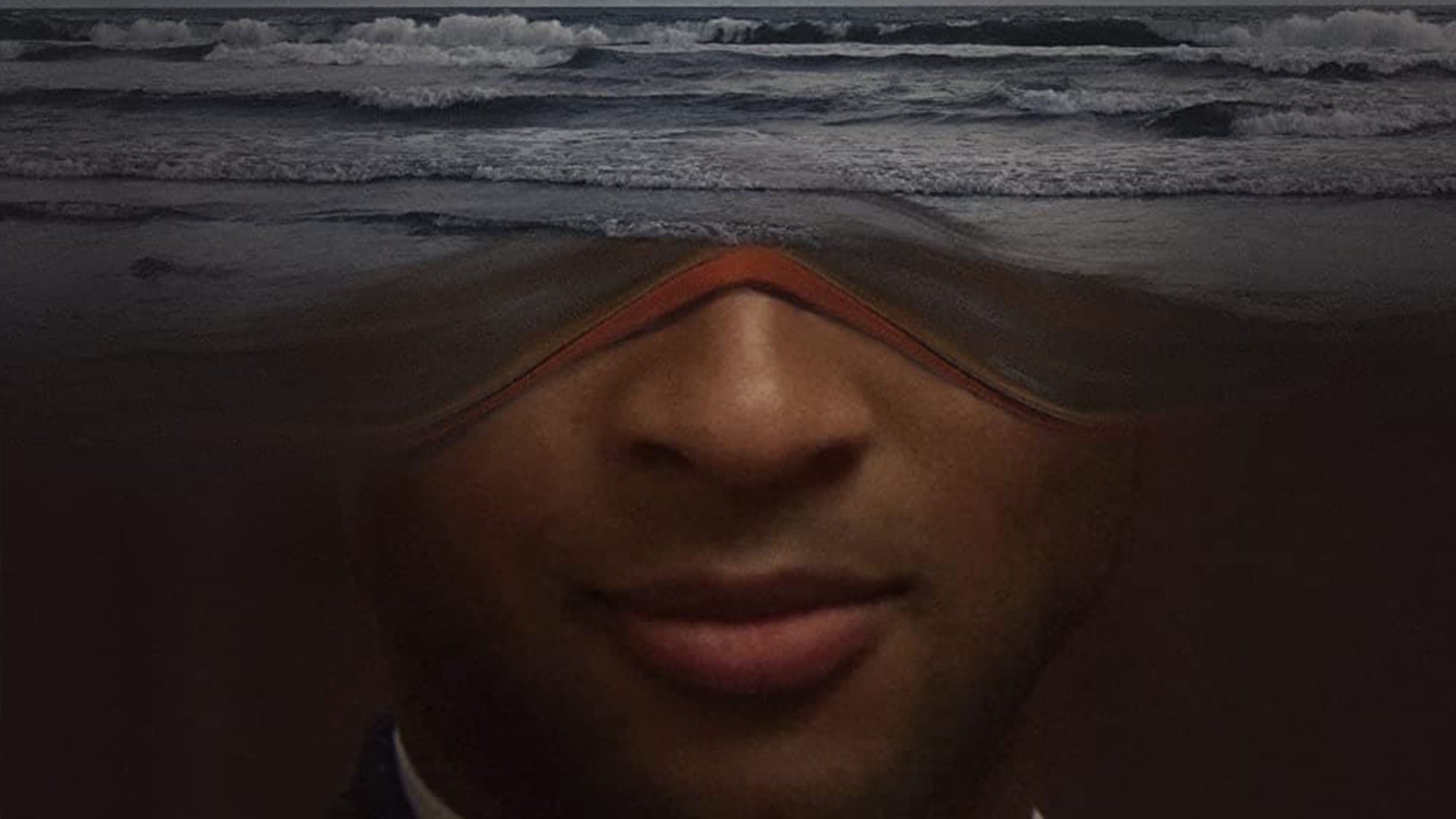 Albatross cover