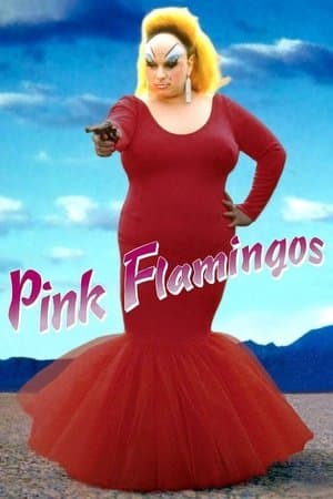 Pink Flamingos thumbnail