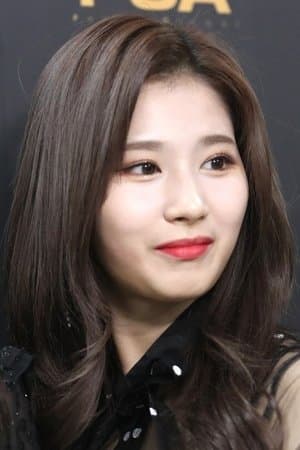 SANA poster