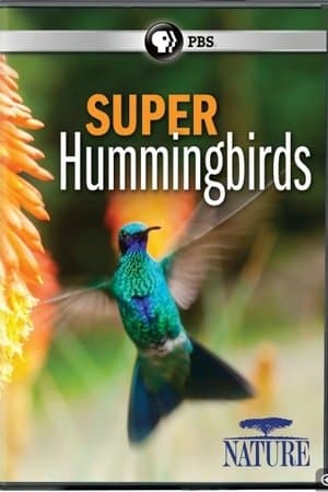 Super Hummingbirds thumbnail