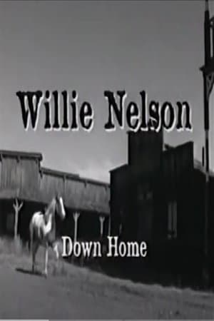 Willie Nelson: Down Home thumbnail