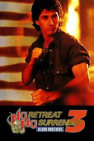 No Retreat, No Surrender 3: Blood Brothers thumbnail
