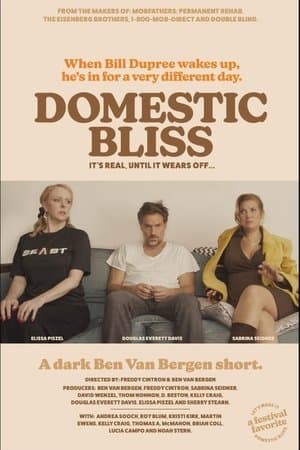 Domestic Bliss thumbnail