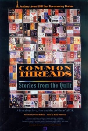 Common Threads: Stories from the Quilt thumbnail