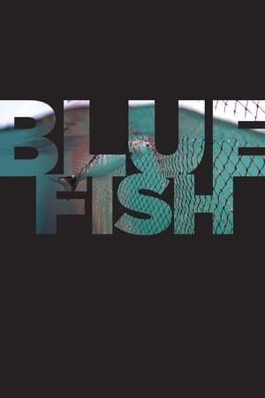 Bluefish thumbnail