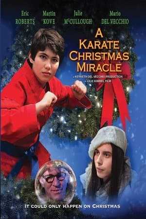 A Karate Christmas Miracle thumbnail