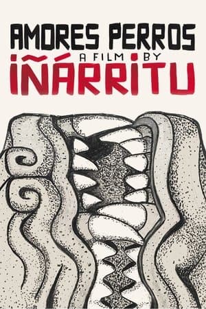 Amores Perros thumbnail