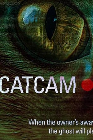 Cat Cam thumbnail