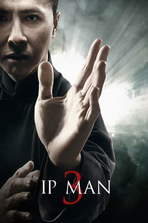 Ip Man 3 thumbnail