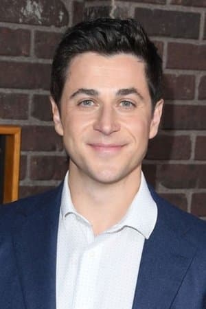 David Henrie poster