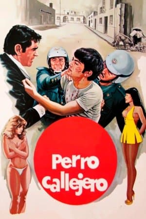 Perro callejero thumbnail