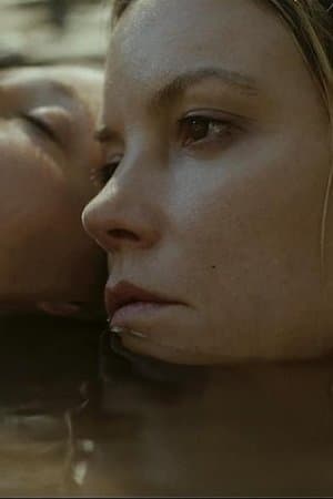 Magpie: One for Sorrow, Two for Joy thumbnail