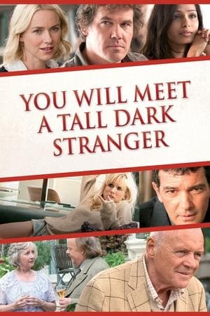 You Will Meet a Tall Dark Stranger thumbnail
