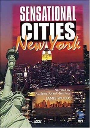 Sensational Cities: New York thumbnail