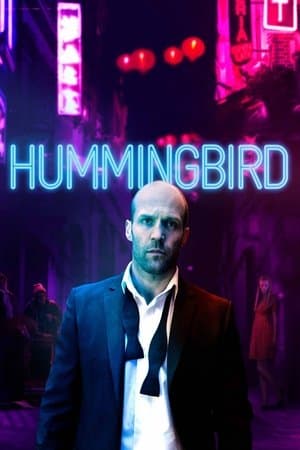 Hummingbird thumbnail
