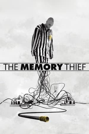 The Memory Thief thumbnail