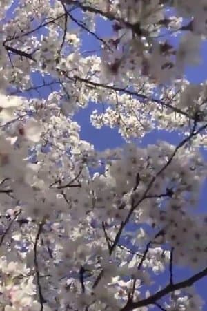 The Flowers thumbnail
