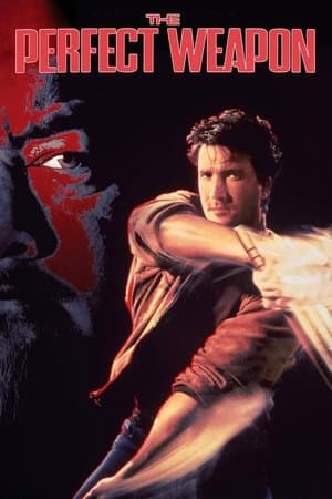 The Perfect Weapon thumbnail