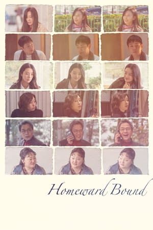 Homeward Bound thumbnail