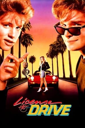 License to Drive thumbnail