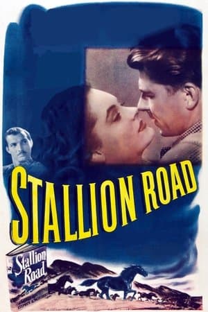 Stallion Road thumbnail