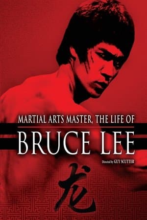 The Life of Bruce Lee thumbnail