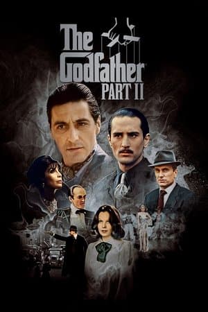 The Godfather Part II thumbnail