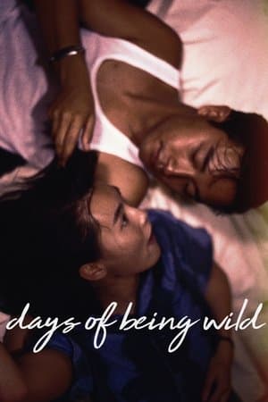 Days of Being Wild thumbnail