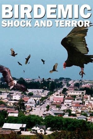 Birdemic: Shock and Terror thumbnail