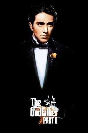 The Godfather Part II thumbnail