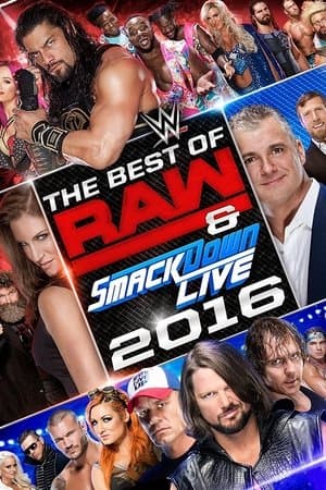 WWE Best of Raw & SmackDown Live 2016 thumbnail