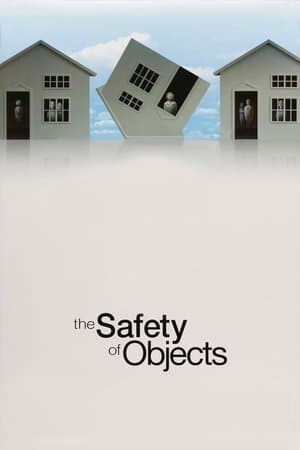 The Safety of Objects thumbnail