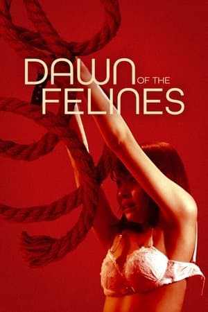 Dawn of the Felines thumbnail