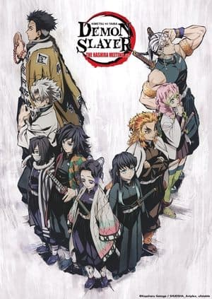Demon Slayer: Kimetsu no Yaiba — The Hashira Meeting Arc thumbnail