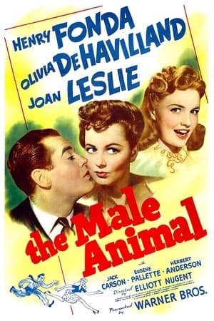 The Male Animal thumbnail