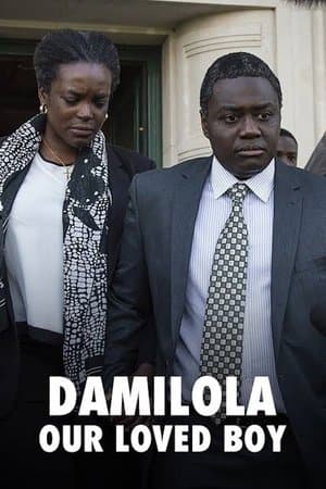 Damilola, Our Loved Boy thumbnail
