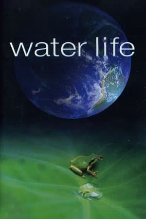 Water Life A World of Water thumbnail