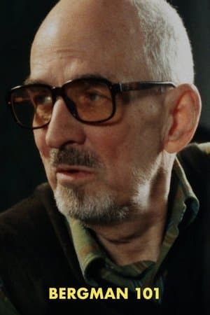 Bergman 101 thumbnail