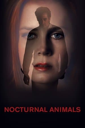 Nocturnal Animals thumbnail