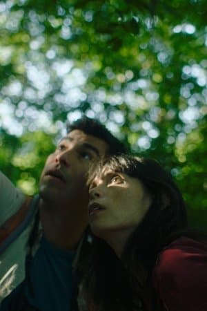 A Bird Came Down thumbnail