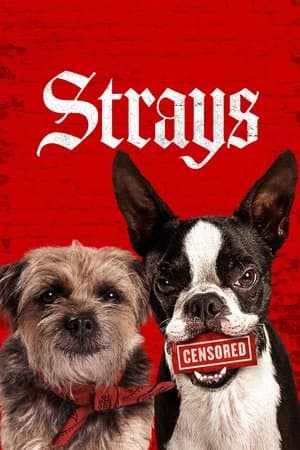 Strays thumbnail