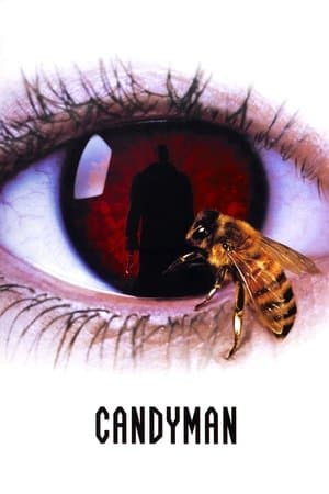Candyman thumbnail