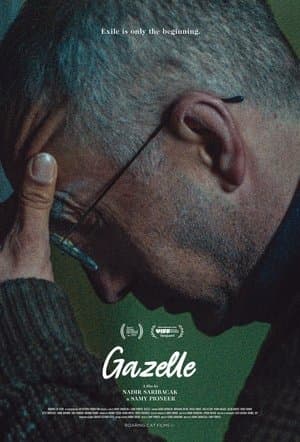 Gazelle thumbnail