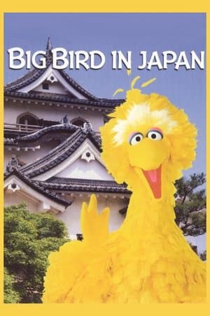 Big Bird in Japan thumbnail