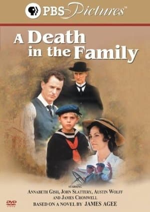 A Death in the Family thumbnail
