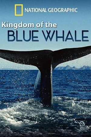 Kingdom of the Blue Whale thumbnail