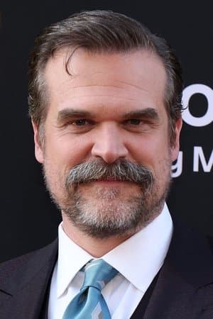 David Harbour poster