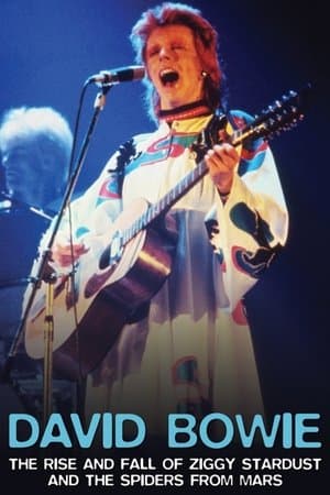 David Bowie: The Rise And Fall of Ziggy Stardust and the Spiders From Mars thumbnail