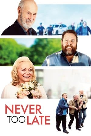 Never Too Late thumbnail