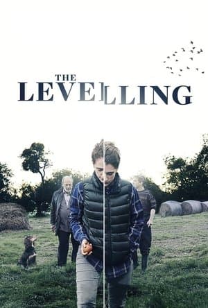 The Levelling thumbnail